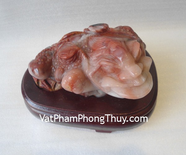 Cóc Thiềm Thừ đá Hoàng Long Tân Cương tam thể TT HL 3692 TT Hl 3692 Cóc Thiềm Thừ đá Hoàng Long Tân Cương tam thể TT HL 3692