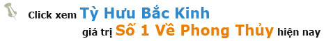 ads backinh1 Rùa Đầu Rồng (Long Quy) Phong Thủy – Loài linh vật giúp hóa giải tam sát, vượng tài gia lộc, với hơn 20 kiểu dáng đẹp, độc lạ