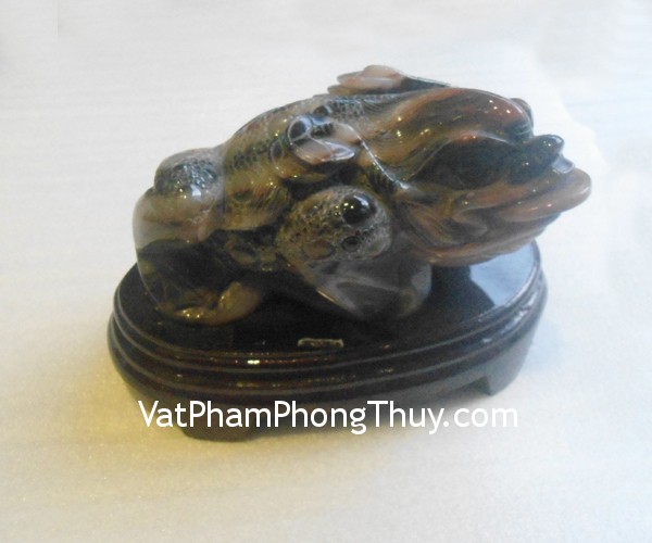 coc hoang long tt hl 13564 2 Cóc Thiềm Thừ đá Hoàng Long Tân Cương tam thể TT HL 13564