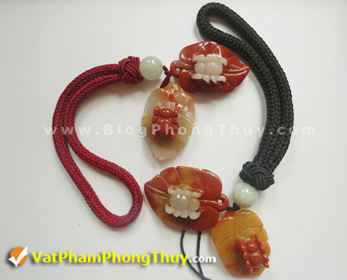 nhen phong thuy 02 Nhện Phong Thủy   Loài linh vật mang đến may mắn trọn vẹn về đường tài lộc và đường tình duyên