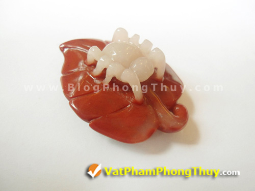 nhen phong thuy 03 Nhện Phong Thủy   Loài linh vật mang đến may mắn trọn vẹn về đường tài lộc và đường tình duyên