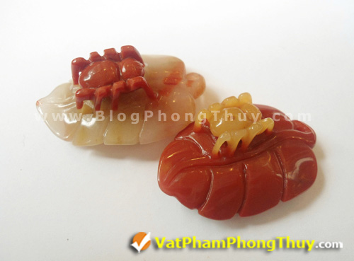 nhen phong thuy 06 Nhện Phong Thủy   Loài linh vật mang đến may mắn trọn vẹn về đường tài lộc và đường tình duyên