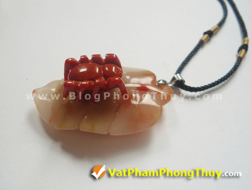 nhen phong thuy 11 Nhện Phong Thủy   Loài linh vật mang đến may mắn trọn vẹn về đường tài lộc và đường tình duyên