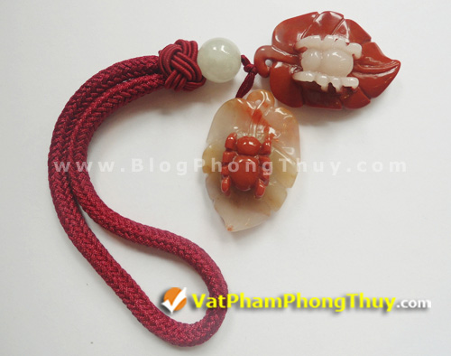 nhen phong thuy 14 Nhện Phong Thủy   Loài linh vật mang đến may mắn trọn vẹn về đường tài lộc và đường tình duyên