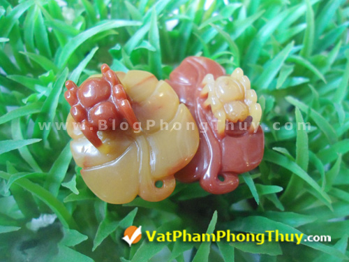 nhen phong thuy 16 Nhện Phong Thủy   Loài linh vật mang đến may mắn trọn vẹn về đường tài lộc và đường tình duyên